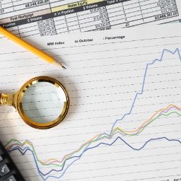 Tributi, Economato, Sistema Informatico