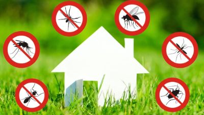logo disinfestazione zanzare