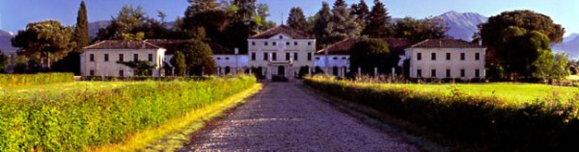 Villa Villa