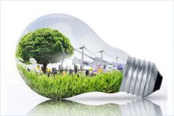 ecologia-ambiente